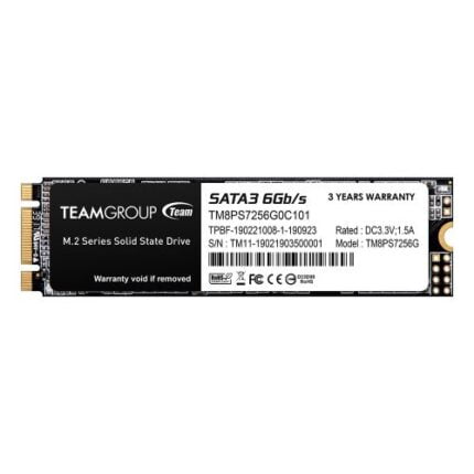 Team 256GB MS30 M.2 SATA SSD